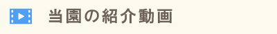 当園の動画紹介
